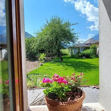 Lintschis Vorderberg