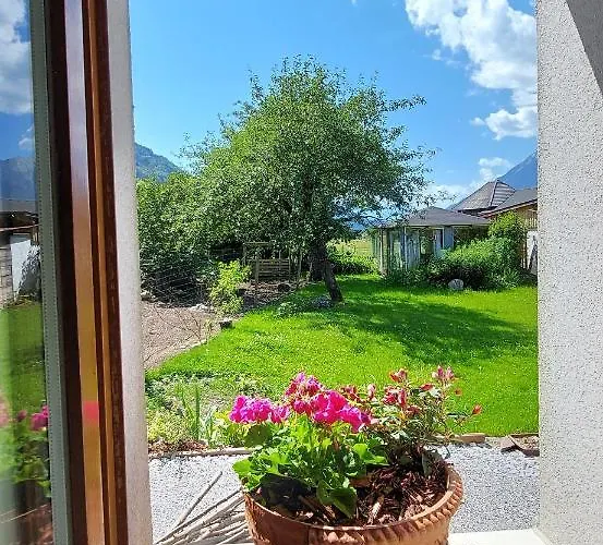 Lintschis Vorderberg